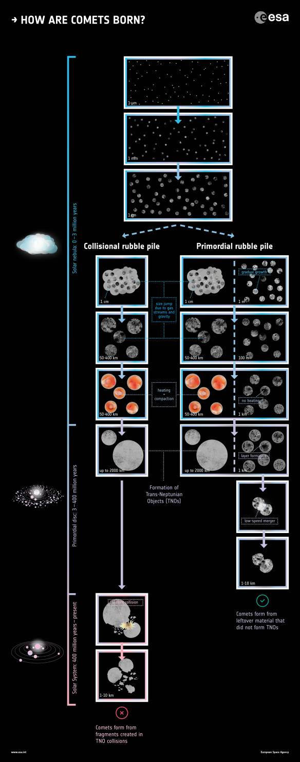 Figure 1: The left column of images shows how we often have imagined comet formation before Rosetta. Hierarchical agglomeration first builds pebbles with sizes around a centimeter. Streaming instabilities in the solar nebula then form gigantic swarms of pebbles that merge through gravity to large transneptunians with typical diameters in the range 100-400 kilometers. These then collide with each other – to begin with rather gently so that some of them merge to objects as large as Pluto (2300 km) or the Neptune satellite Triton (2700km) that was captured from the primordial disk. However, collision velocities increase over time and cease to be constructive (in which two smaller objects merge into a large one) and start to become destructive (two smaller objects pulverize each other). In some cases the collision fragments are joined into loosely bound lumps – many scientists see comets as such collision rubble piles. Our new scenario is seen to the right, with one column for large transneptunians and another for small comets. In our opinion the transneptunians form first through streaming instabilities. Remaining material then grows through hierarchical agglomeration to form comets. The growth rate of the comets is so slow that they have time to dissipate the heat generated internally by radioactive decay – therefore they remain very cold and porous. Due to their slow growth much of it takes place after the solar nebula gas has dissipated. In our opinion this gives comets some unique properties – their outer parts are dominated by concentric shells, and they often merge two by two. If comets form in this manner we demonstrate that they are so few in number that they do not collide violently with each other at later times. Comet nuclei are therefore surviving primordial rubble piles that are 4.6 billion years old.